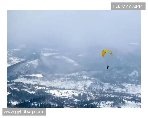 武汉极限运动队荣登全国极限运动技术排行榜第一名的辉煌成就