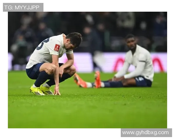 热刺迎来新赛季的挑战 能否带来意外惊喜